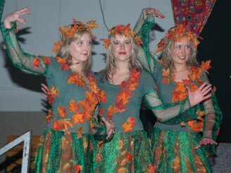 karneval-viernau140106-015