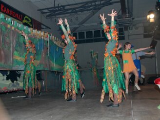 karneval-viernau140106-016