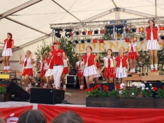 brunnenfest-herzklopfen170607-015