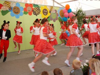brunnenfest-schlossgasse160607-003