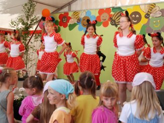 brunnenfest-schlossgasse160607-019