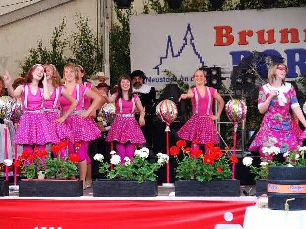Auftritte der Duhlendorfer Floh- und Juniorengarde zum Brunnenfest 2008 am Samstag, den 21.06.2008