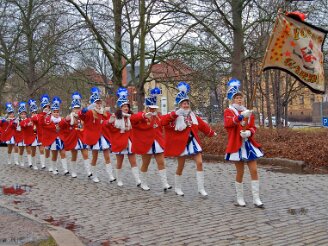 sonntag-gesandtenempfang190212-007