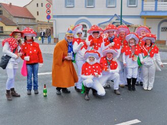 sonntag-umzug190212-231