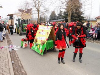 sonntag-umzug150215-537