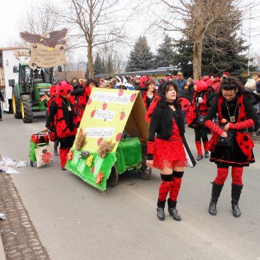 sonntag-umzug150215-537