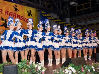 samstag-festhalle020319-018