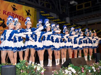 samstag-festhalle020319-019