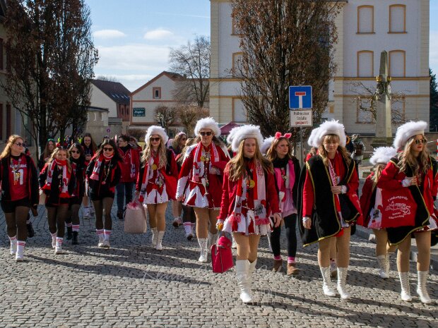 Karnevalsumzug - Galerie 3